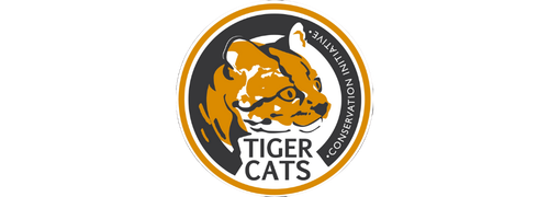 Tiger Cats